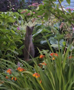 Wisdom from Somatic Attachment Psychotherapy Training