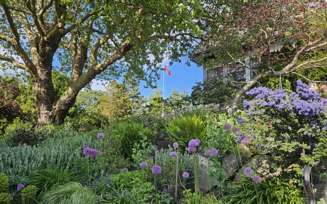 Somatic Attachment Psychotherapy 2 Year Training: What Graduates are Saying