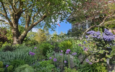 Somatic Attachment Psychotherapy 2 Year Training: What Graduates are Saying