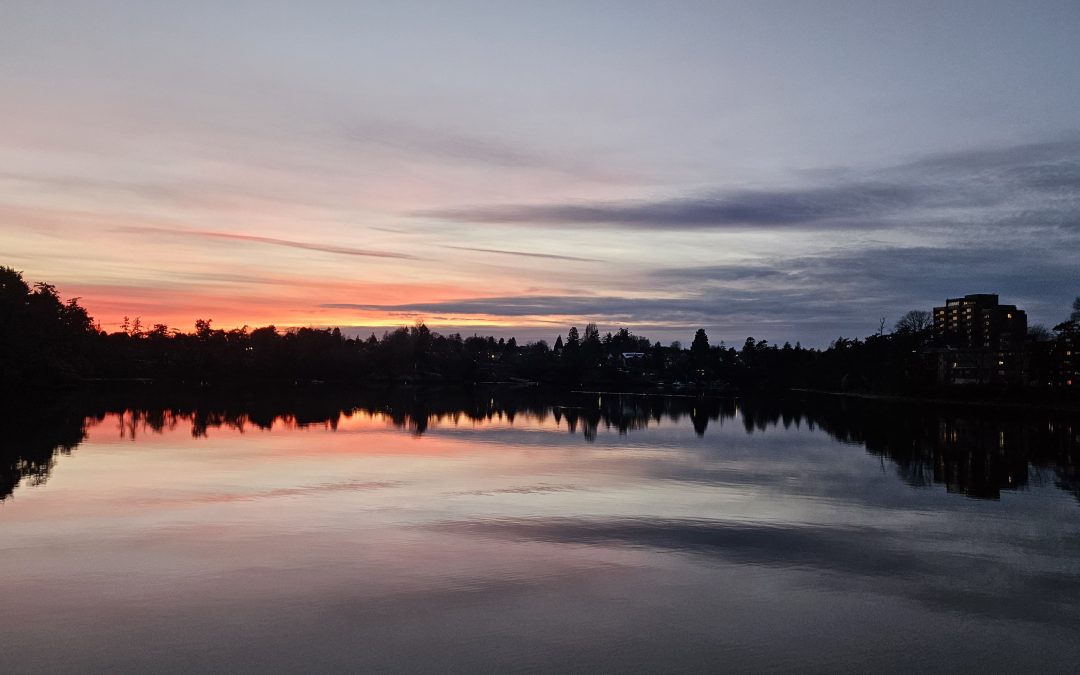 Somatic Attachment Psychotherapy: Highlights of 2025