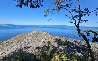 Best Online Somatic Therapy Training Q & A: Somatic Attachment Psychotherapy