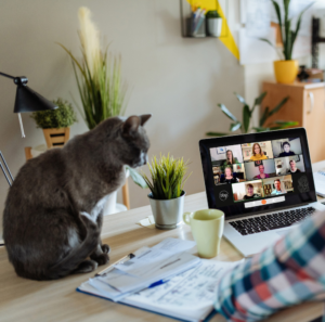 Somatic Attachment Psychotherapy is the best somatic training for therapists.